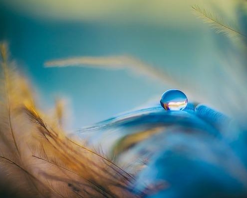 5 Simple Strategies to Boost Balance and Prevent Falls