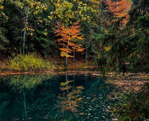 5 Essential Tips to Safeguard Your Joints and Prevent Injuries